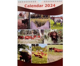 Redpoll Calendar 2024